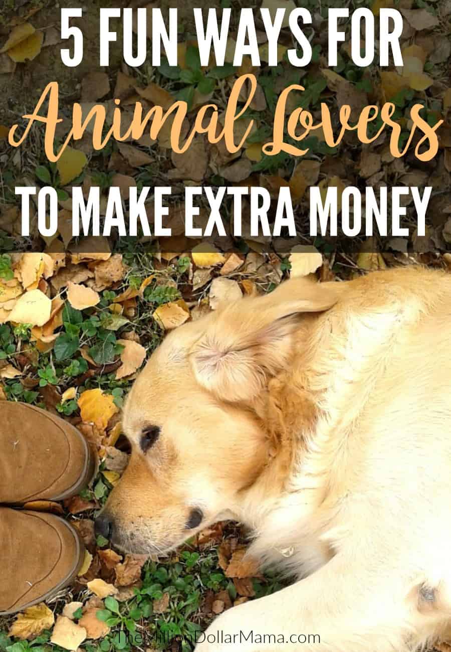 Side Hustle Ideas for Animal Lovers - Here are 5 ways for animal lovers to make extra money!