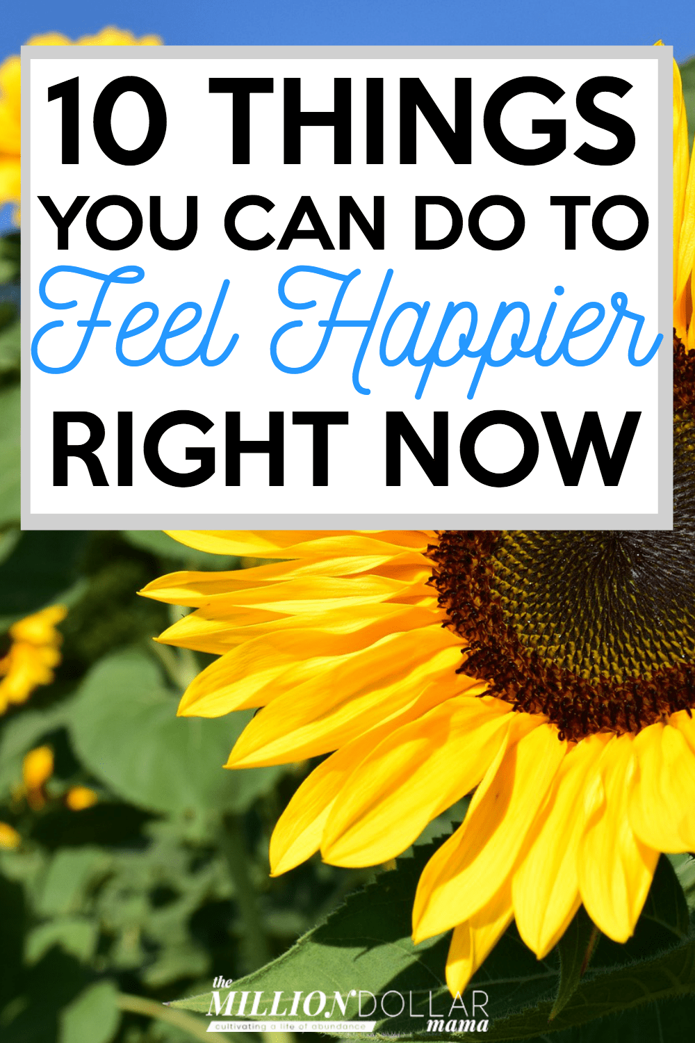 How to feel happy when you're down in the dumps! Click through to find out 10 things you can do to feel happier right now.