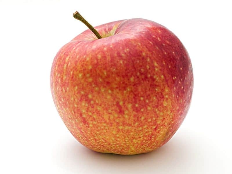 a red apple against a white background