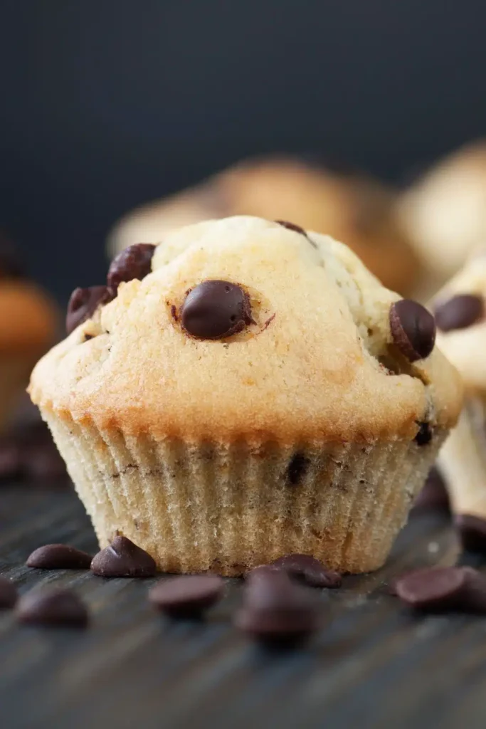 Vanilla Muffin with Chocolate Chips