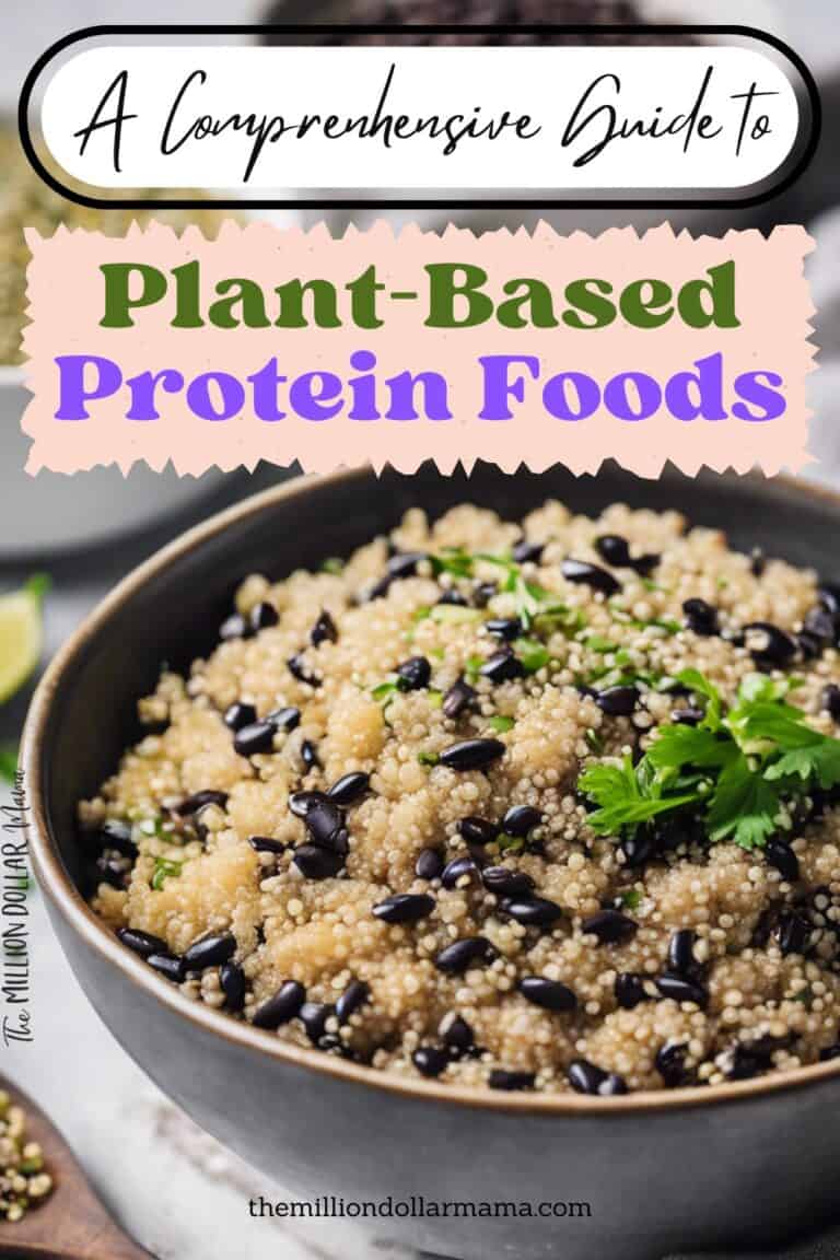 View of Plant-Based Protein Foods - A Comprenhensive Guide