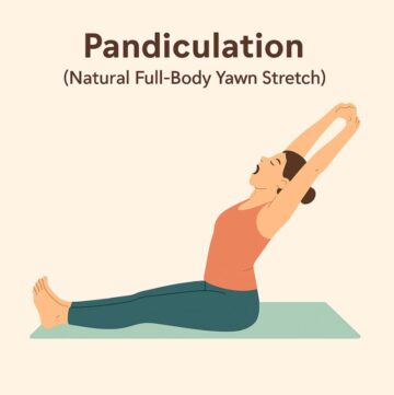 9 Somatic Exercises to Reduce Cortisol